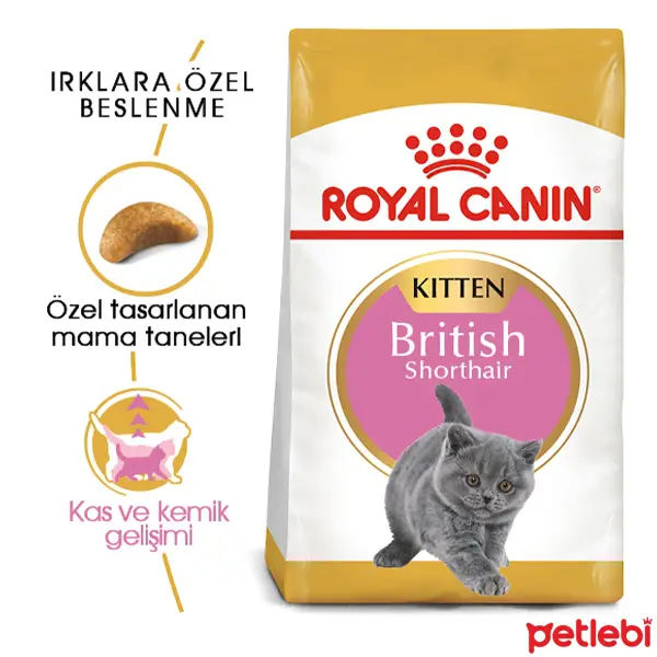 Royal Canin Kitten British Shorthair Yavru Kedi Maması 2kg